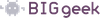 Логотип BIGgeek